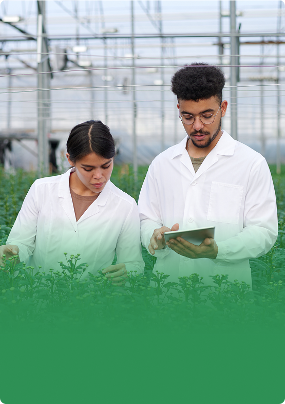 Smart plant management