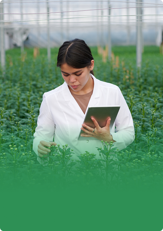 Smart plant management