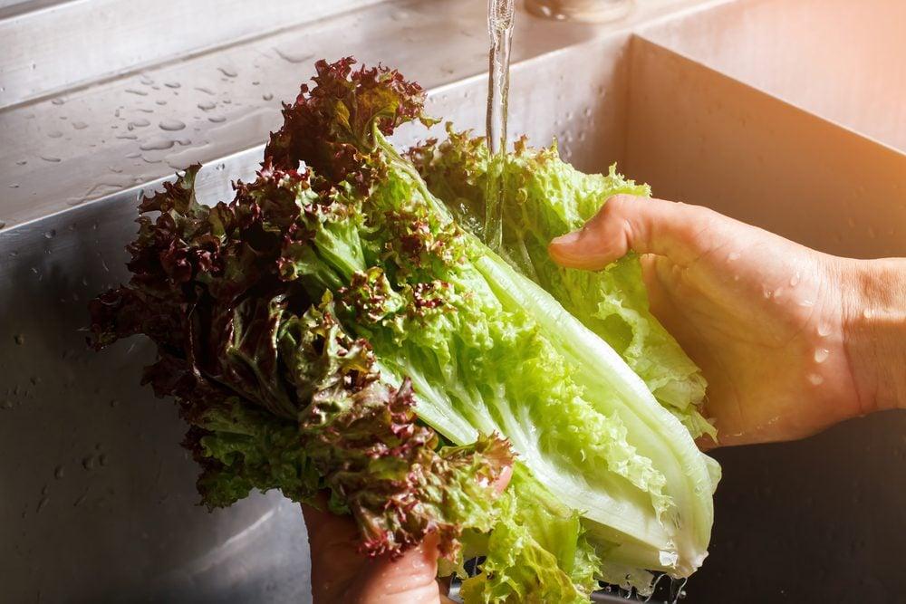 Lettuce Storage Tips How to Keep Lettuce Fresh for Weeks - plant care guide and tips by Plantlyze plant experts