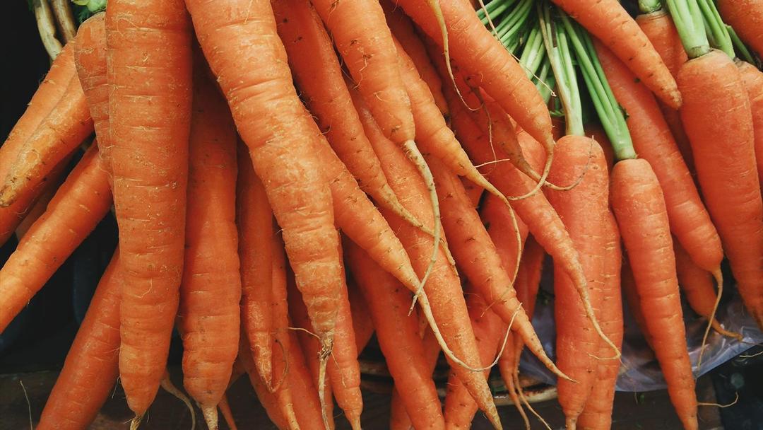 Carrot Nutrient Deficiency: Complete Guide