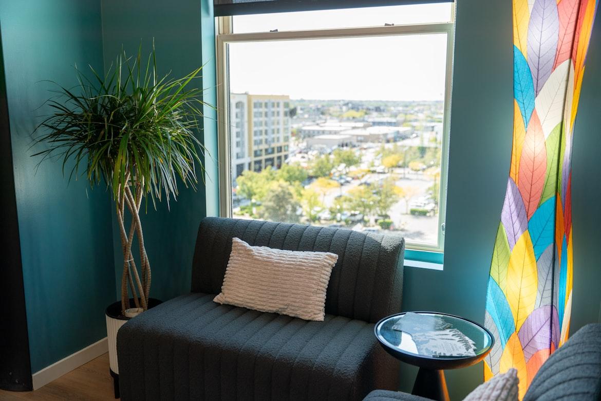 dracaena - Dracaena spp.