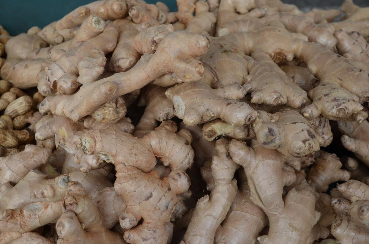 ginger - Zingiber officinale (culinary); Alpinia species (ornamental)