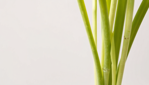 Pale or Whitish Stalks