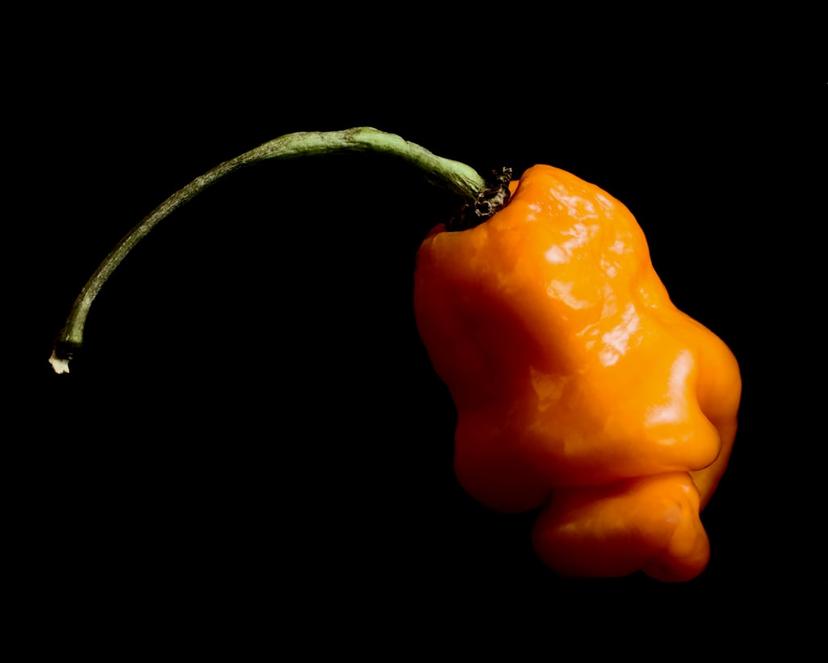 Habanero