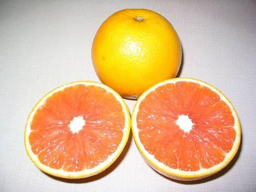 Cara Cara Navel Orange