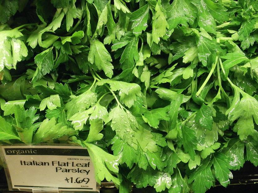 Flat-Leaf Parsley (Italian)