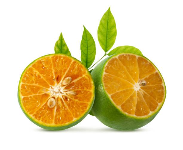 Calamondin